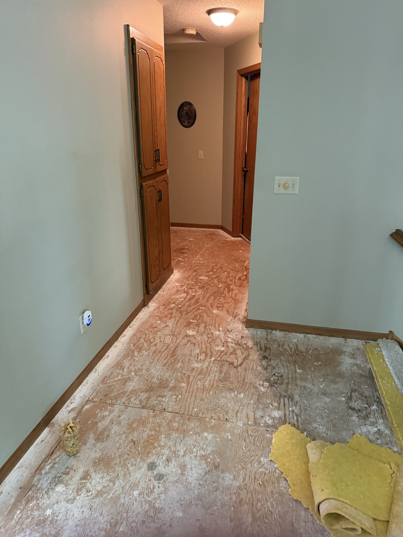 Hallway stripped to bare plywood subfloor