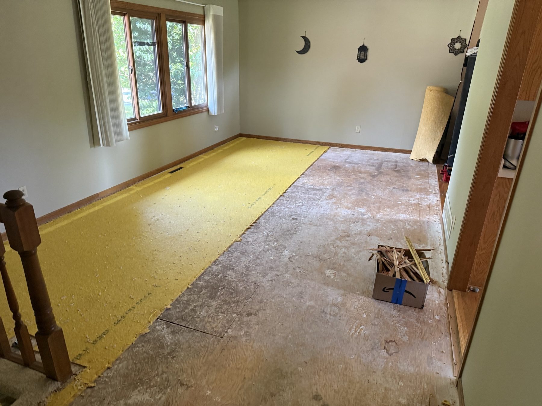 Carpet pad being pulled up, exposing the plywood subfloor